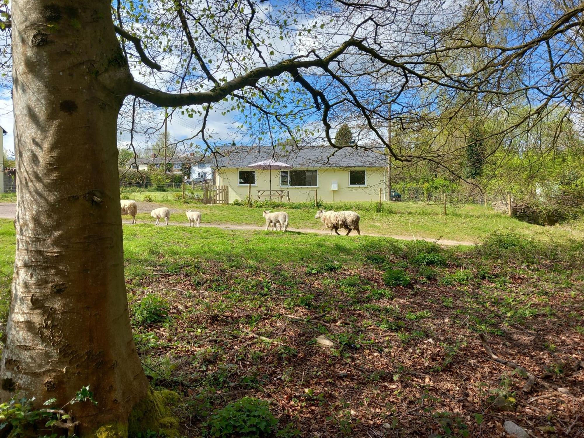 The Bungalow, Forest Of Dean Coleford  Exterior photo